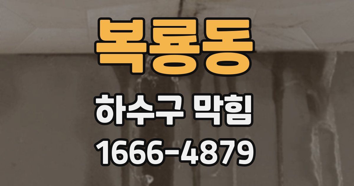 복룡동 하수구 막힘