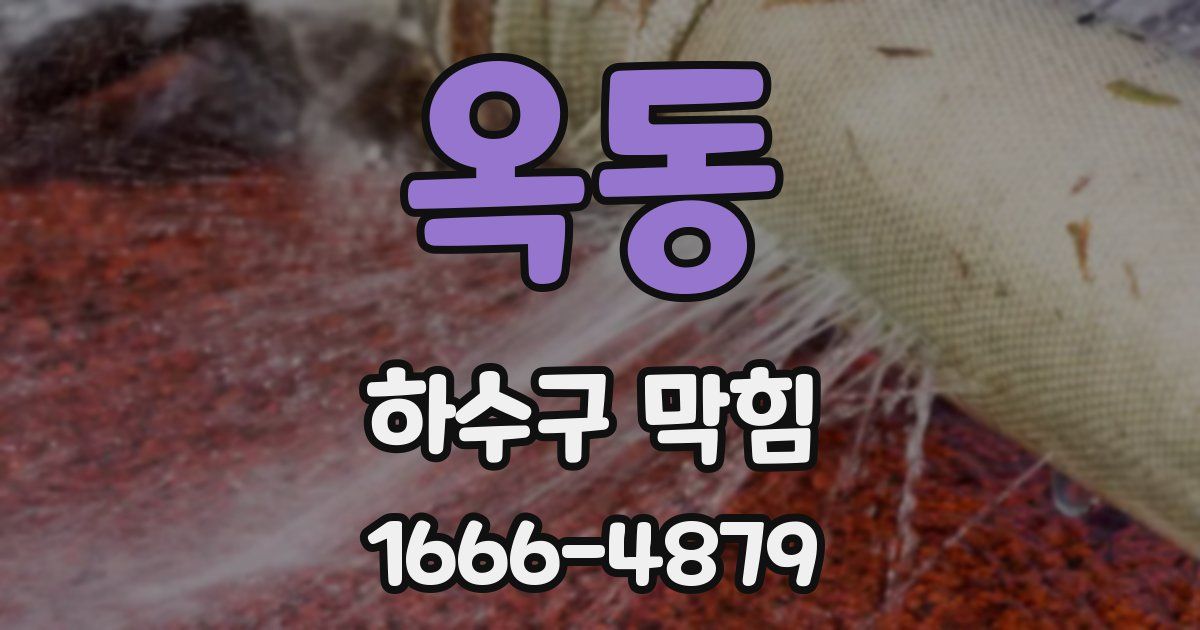 옥동 하수구 막힘