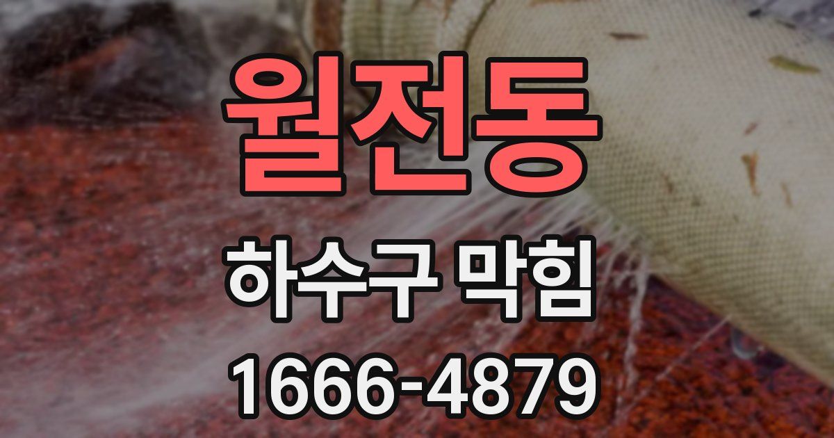 월전동 하수구 막힘