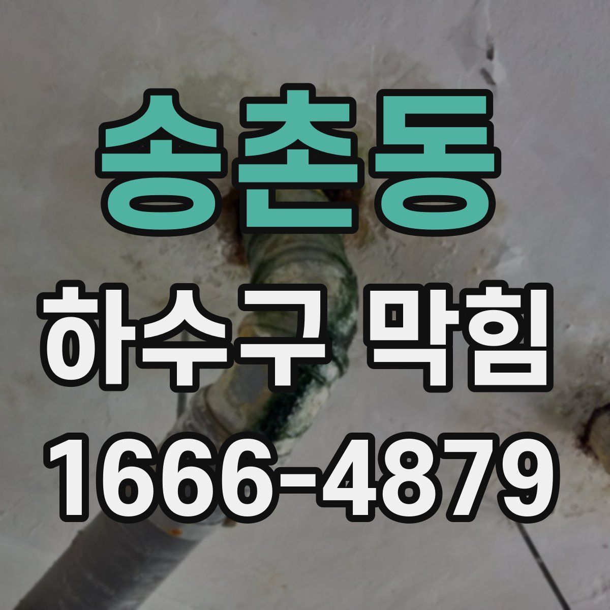 송촌동 하수구 막힘