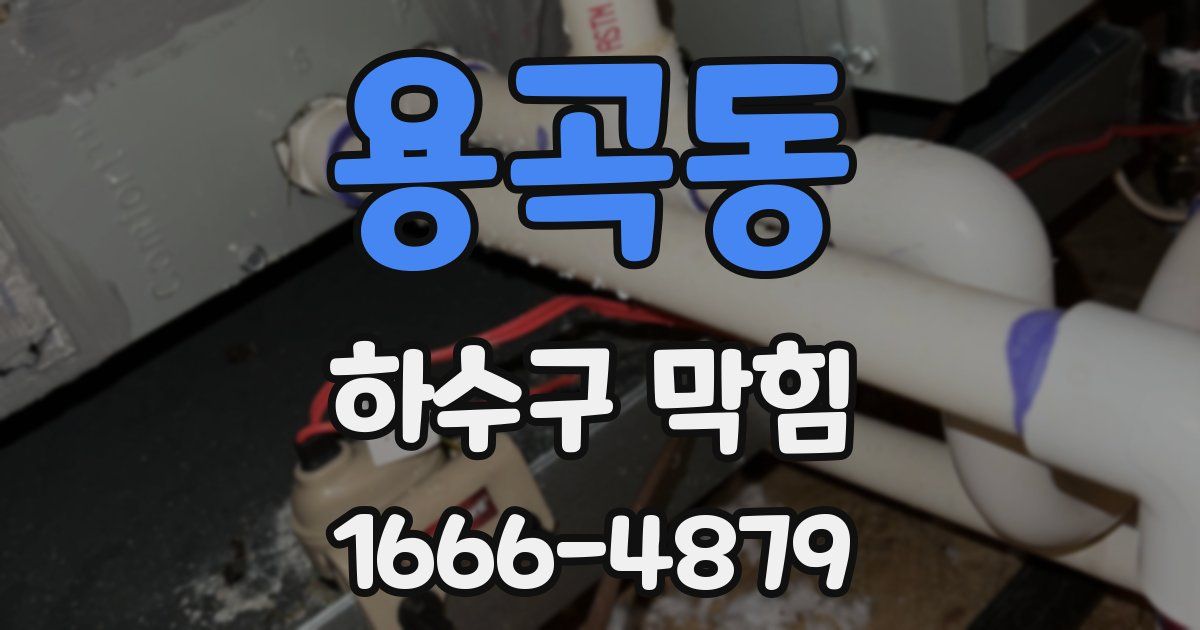 용곡동 하수구 막힘