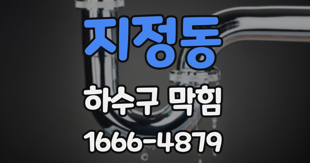 지정동 하수구 막힘