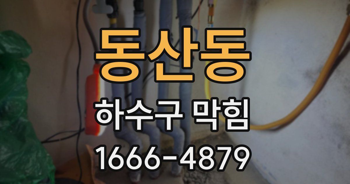 동산동 하수구 막힘