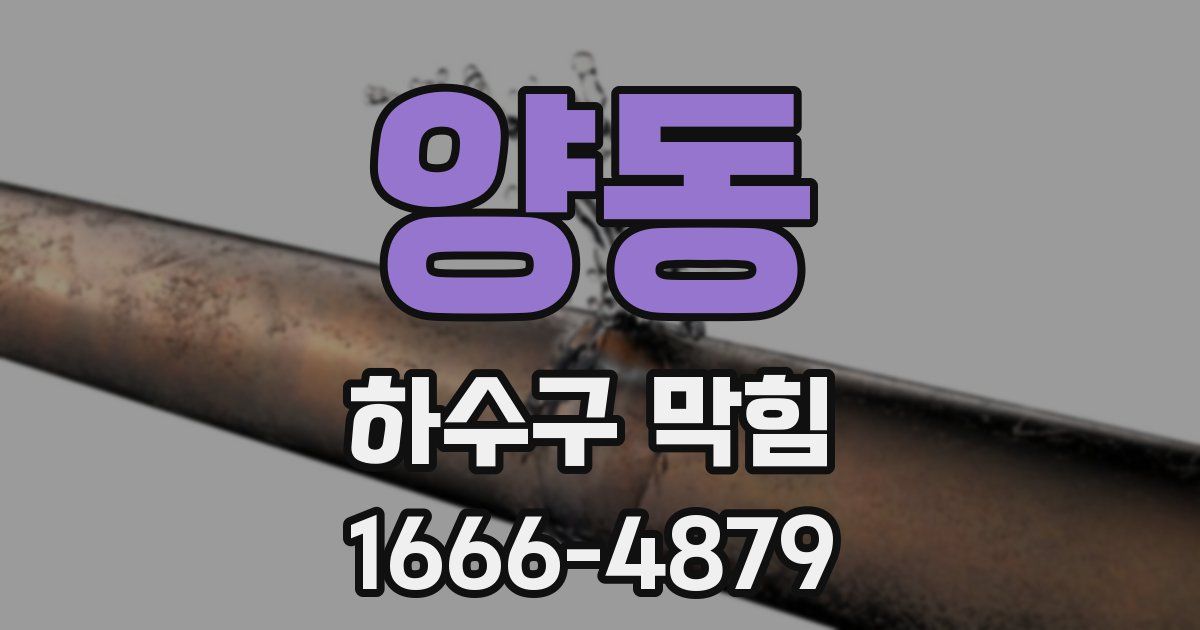 양동 하수구 막힘