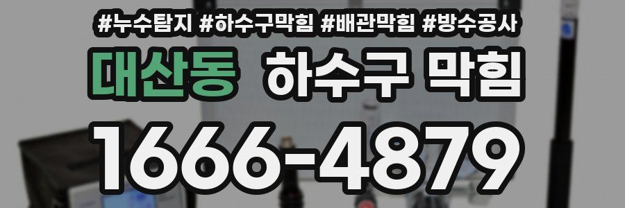 대산동 하수구 막힘