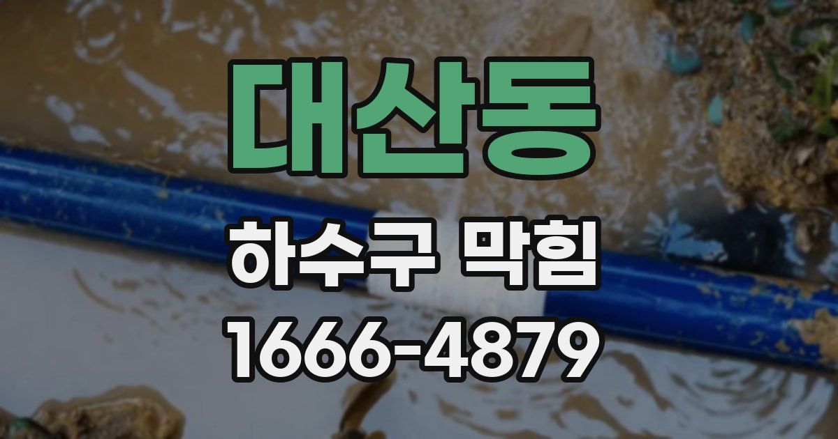 대산동 하수구 막힘