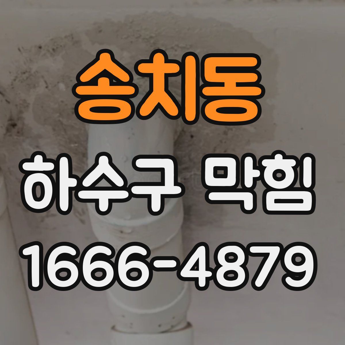 송치동 하수구 막힘