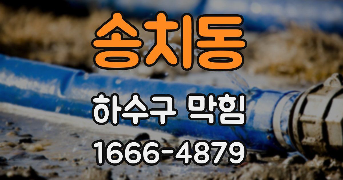 송치동 하수구 막힘