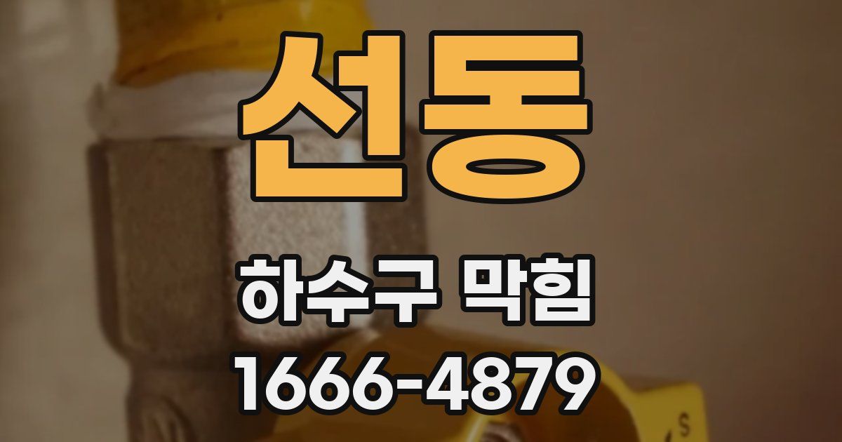 선동 하수구 막힘