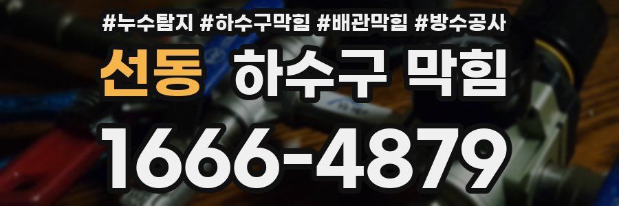 선동 하수구 막힘