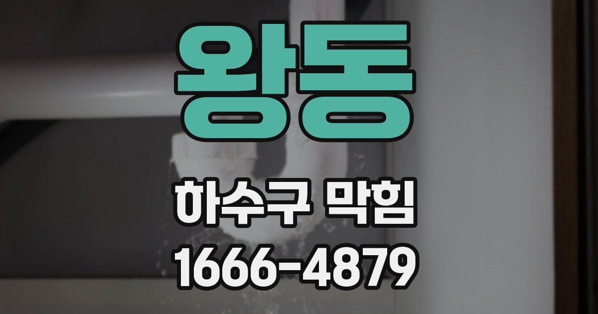 왕동 하수구 막힘