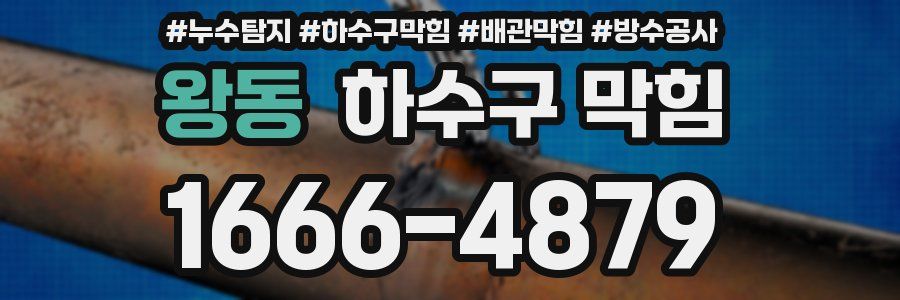 왕동 하수구 막힘