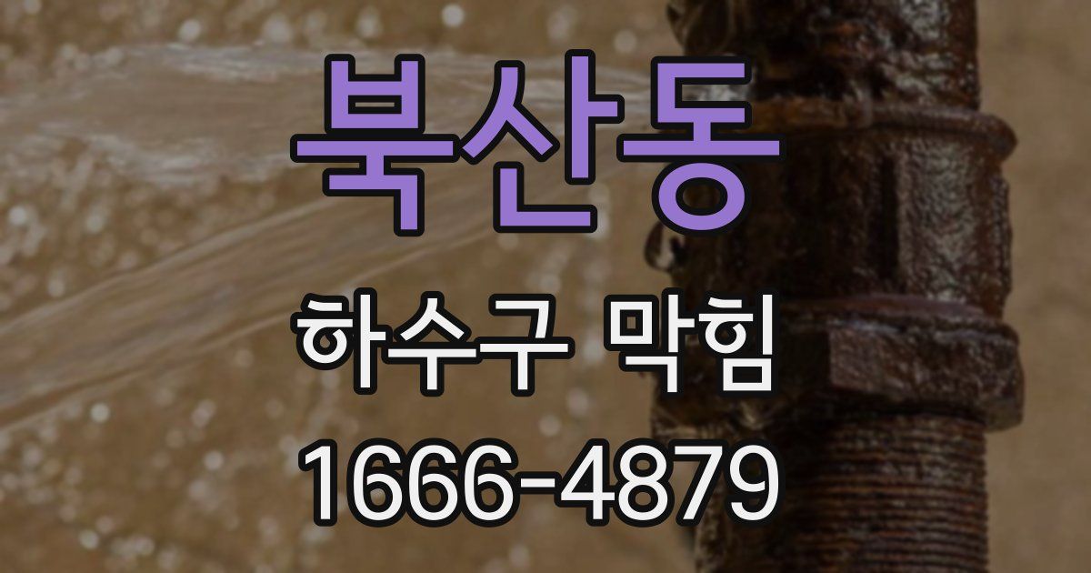 북산동 하수구 막힘