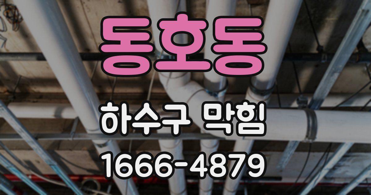동호동 하수구 막힘