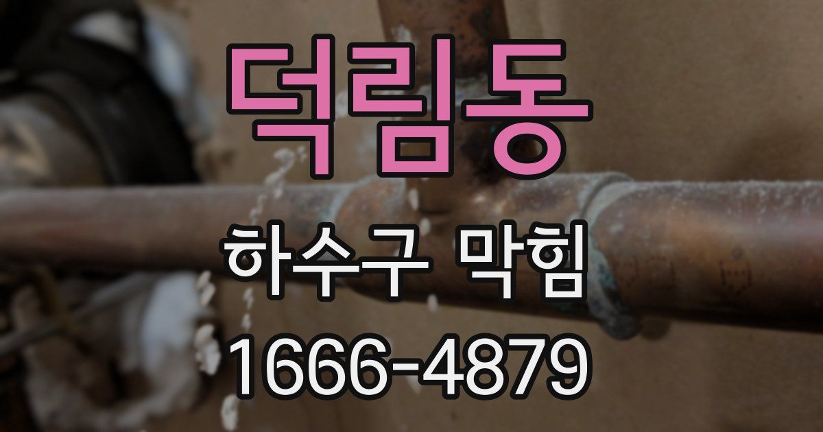 덕림동 하수구 막힘