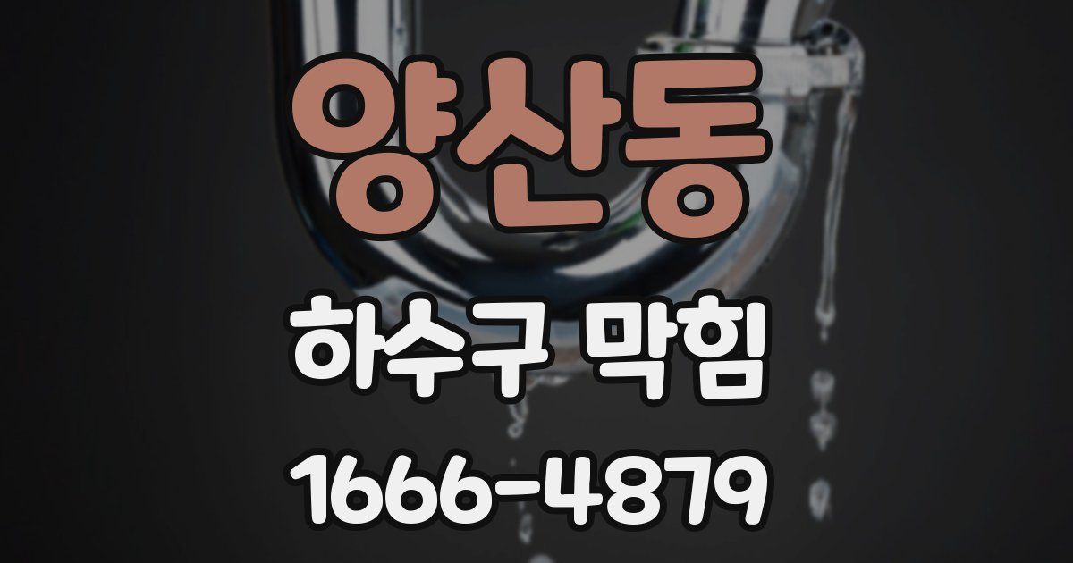양산동 하수구 막힘
