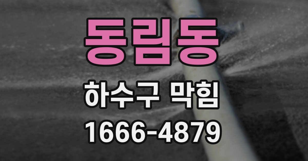 동림동 하수구 막힘
