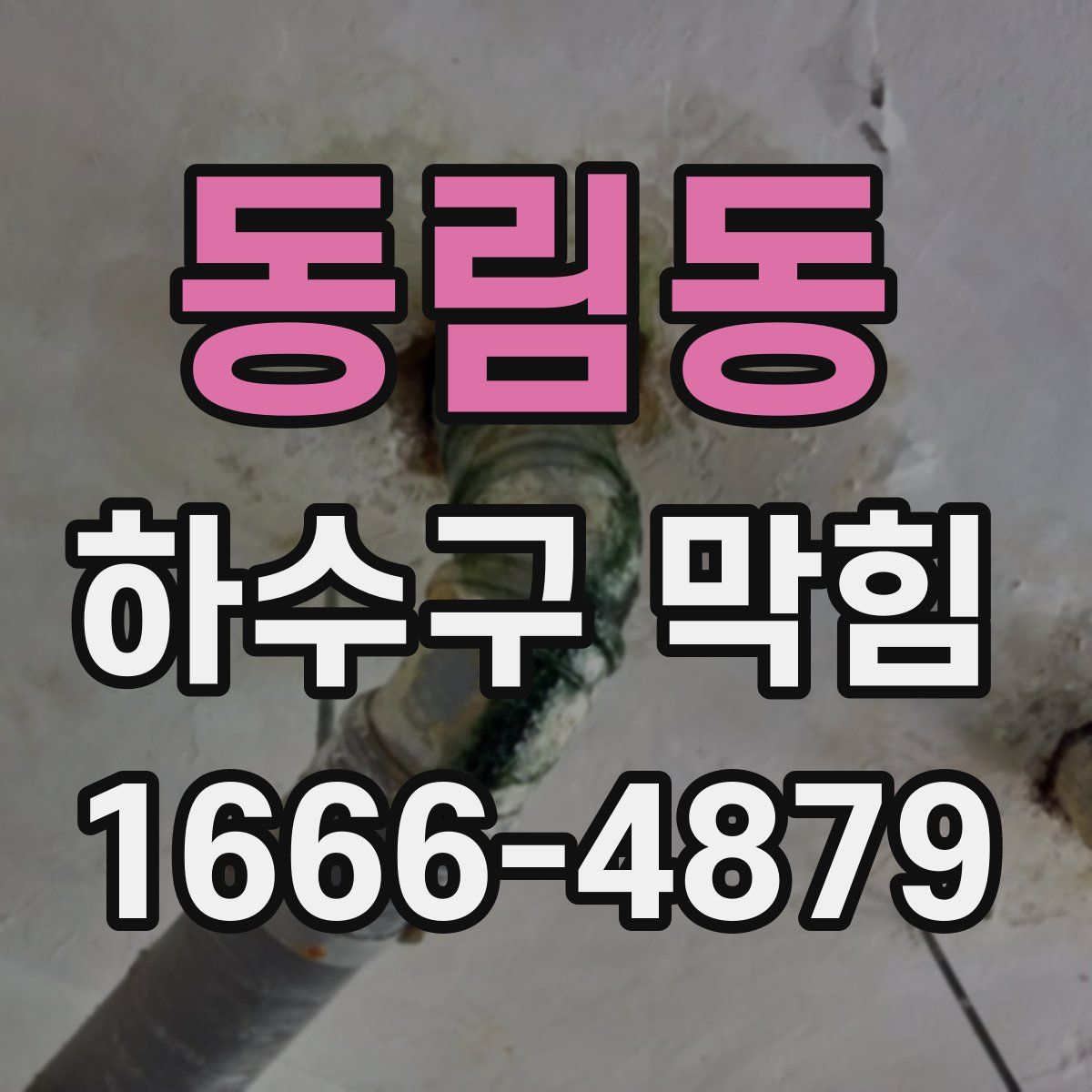 동림동 하수구 막힘