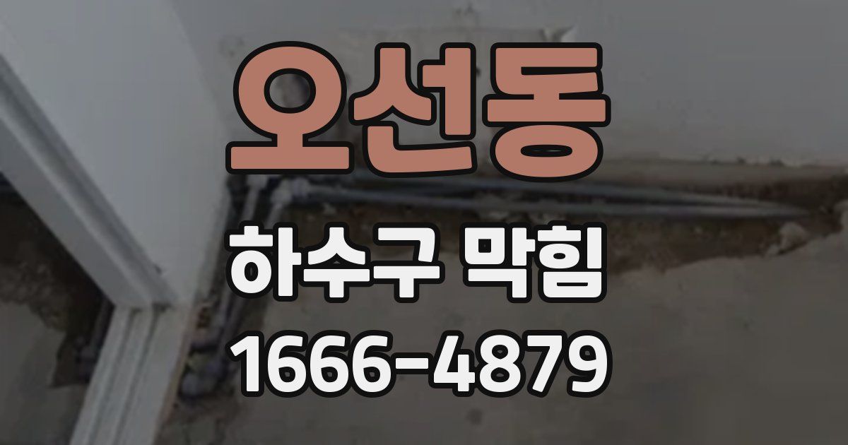 오선동 하수구 막힘