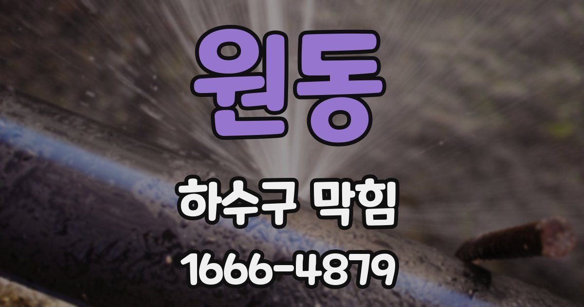 원동 하수구 막힘