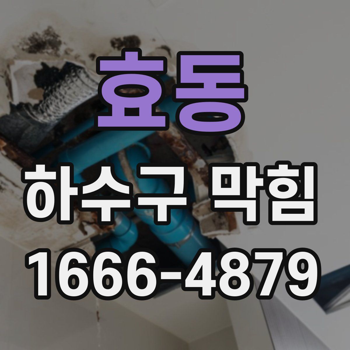 효동 하수구 막힘