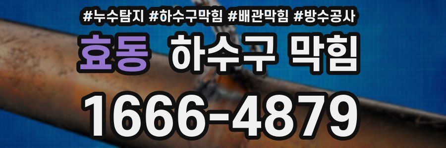 효동 하수구 막힘