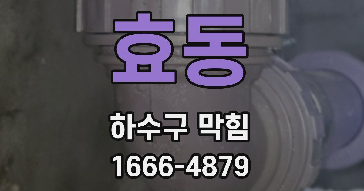 효동 하수구 막힘