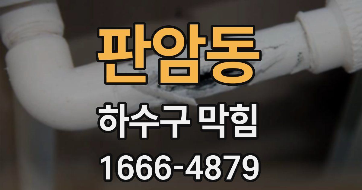 판암동 하수구 막힘