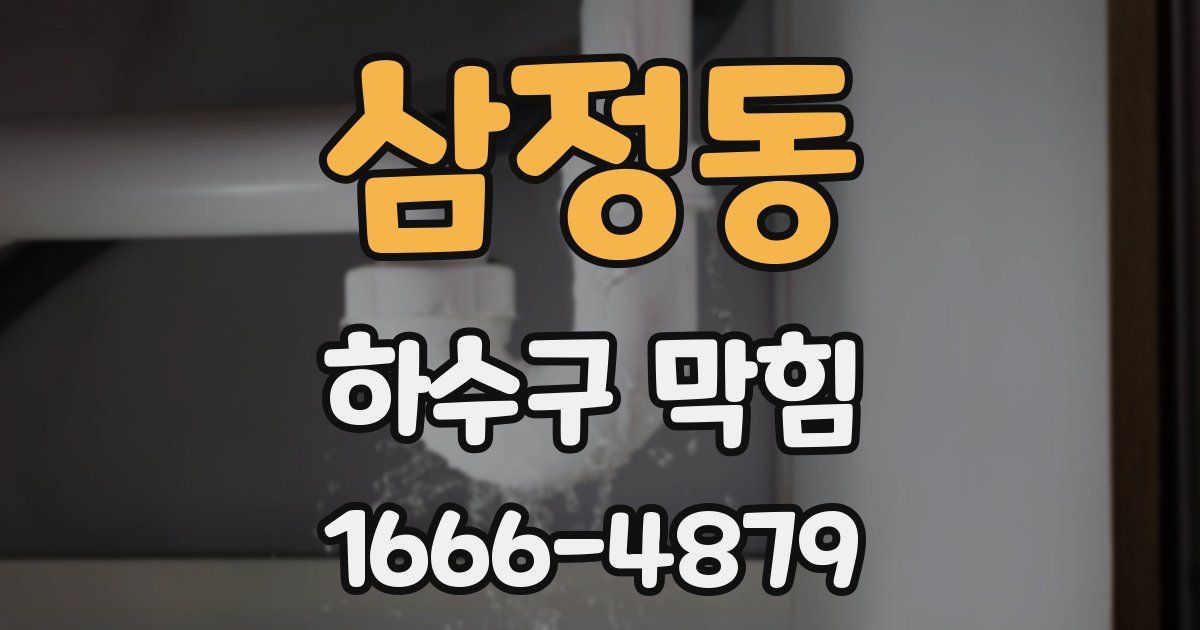 삼정동 하수구 막힘