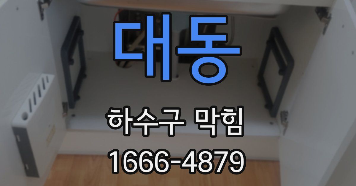대동 하수구 막힘