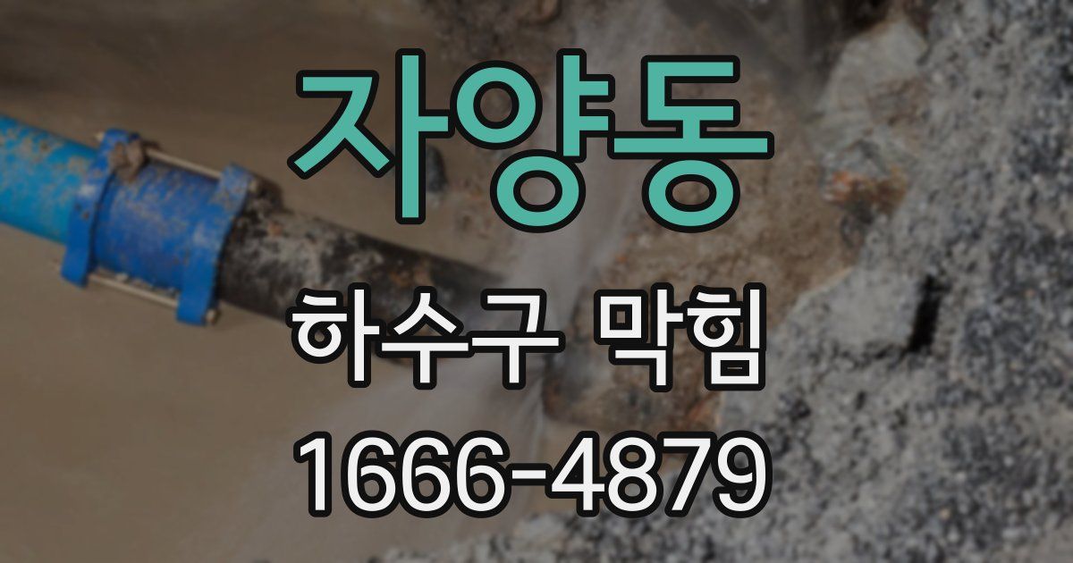 자양동 하수구 막힘