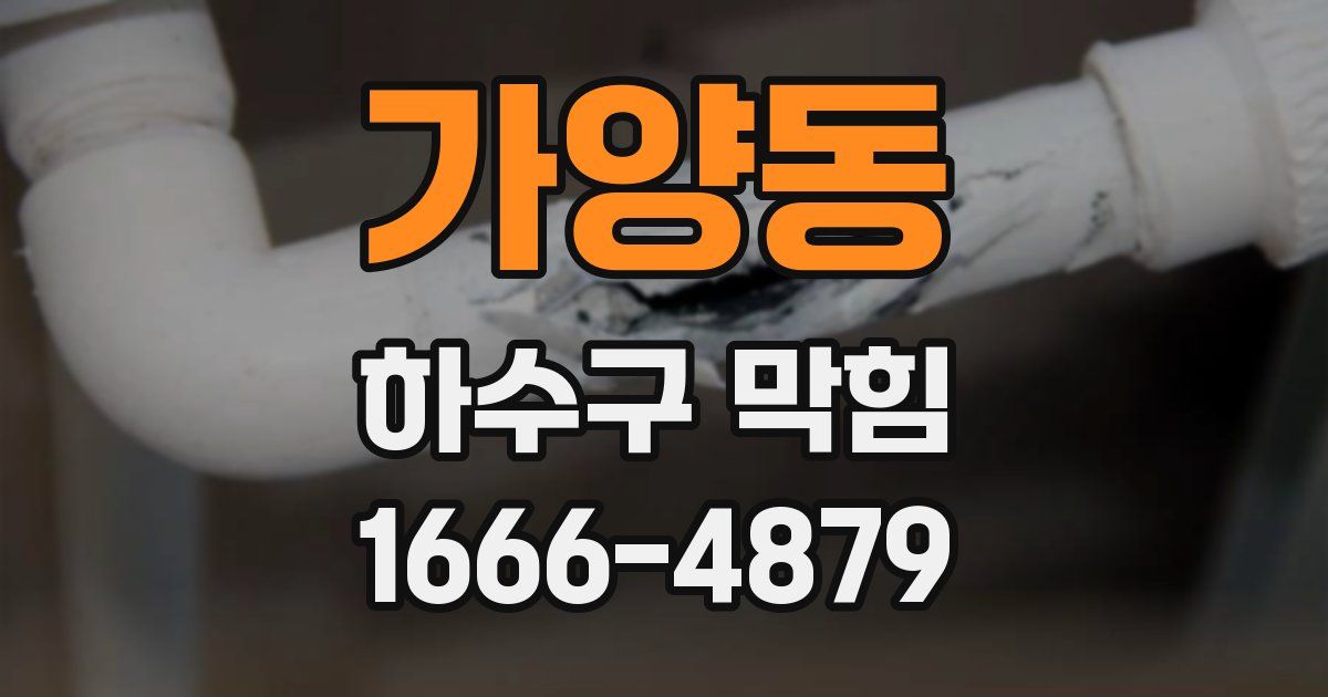가양동 하수구 막힘