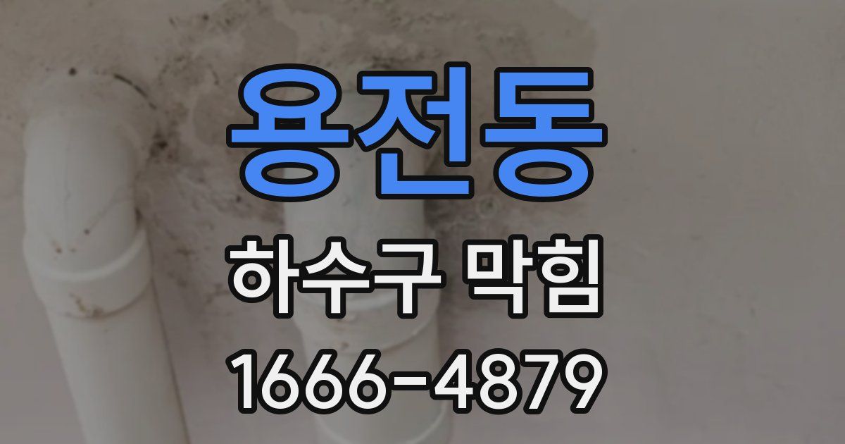 용전동 하수구 막힘