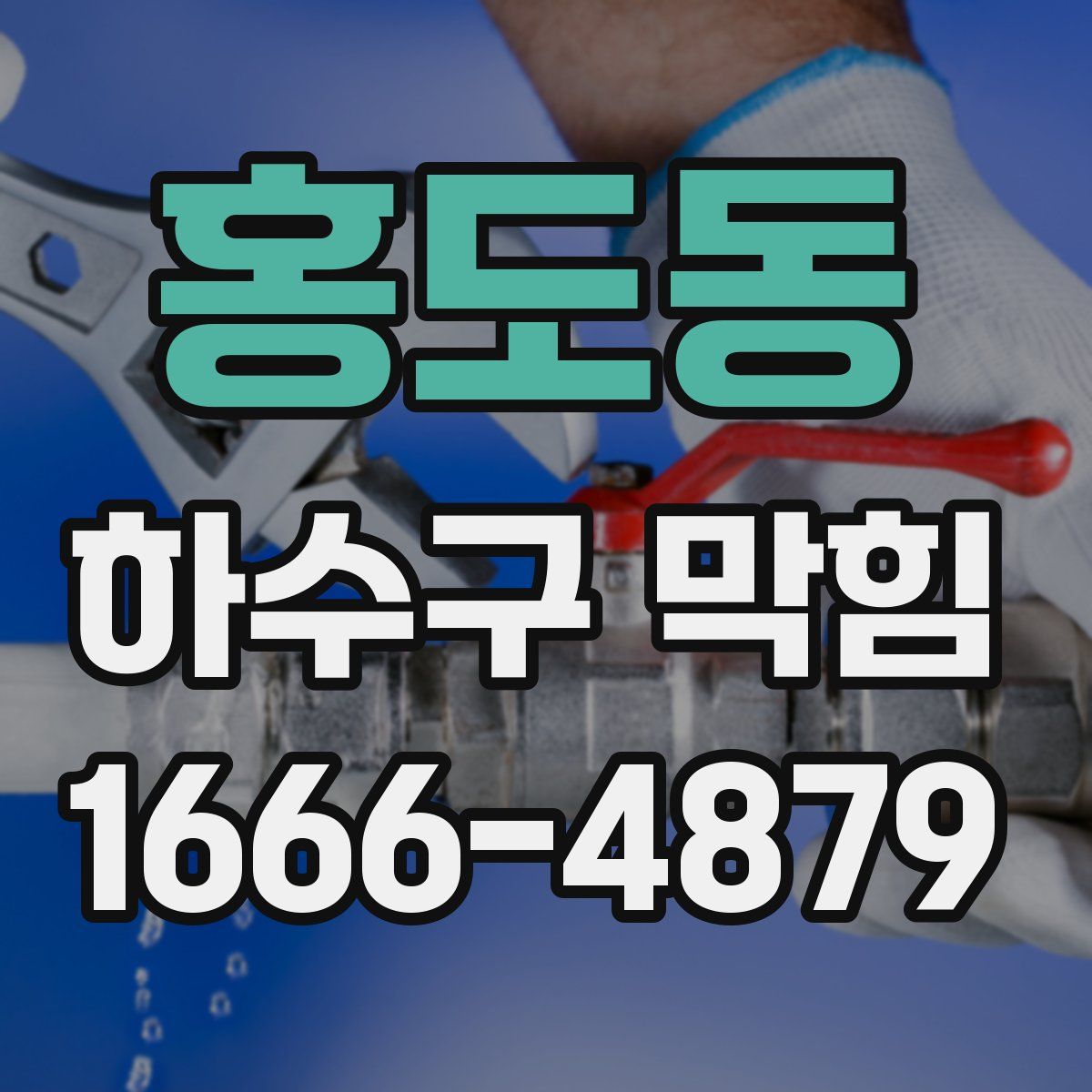 홍도동 하수구 막힘