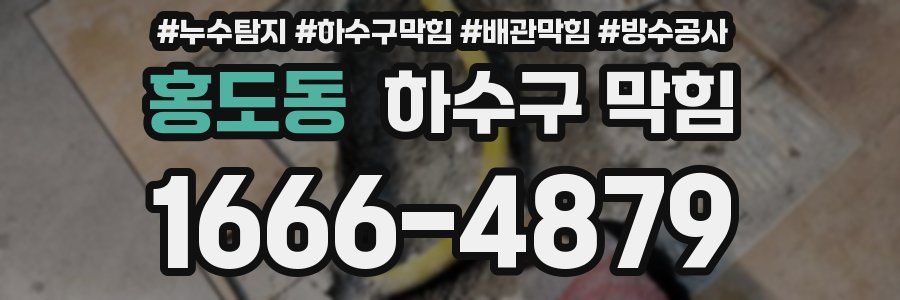 홍도동 하수구 막힘