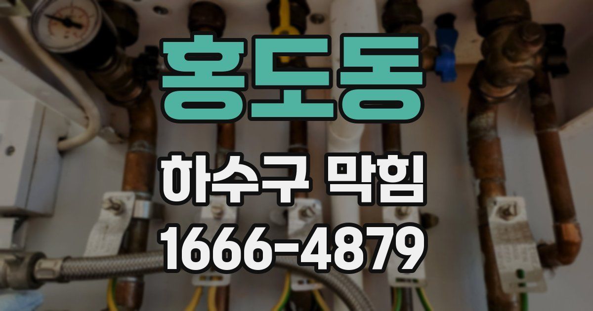 홍도동 하수구 막힘