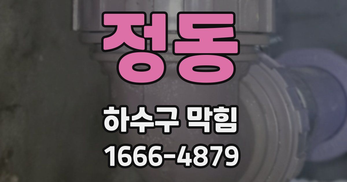 정동 하수구 막힘