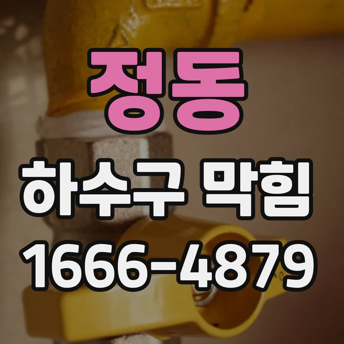 정동 하수구 막힘