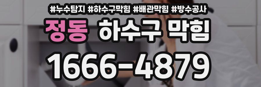 정동 하수구 막힘