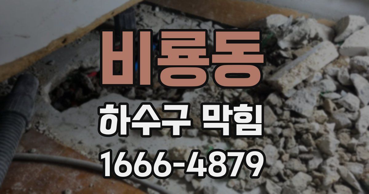 비룡동 하수구 막힘