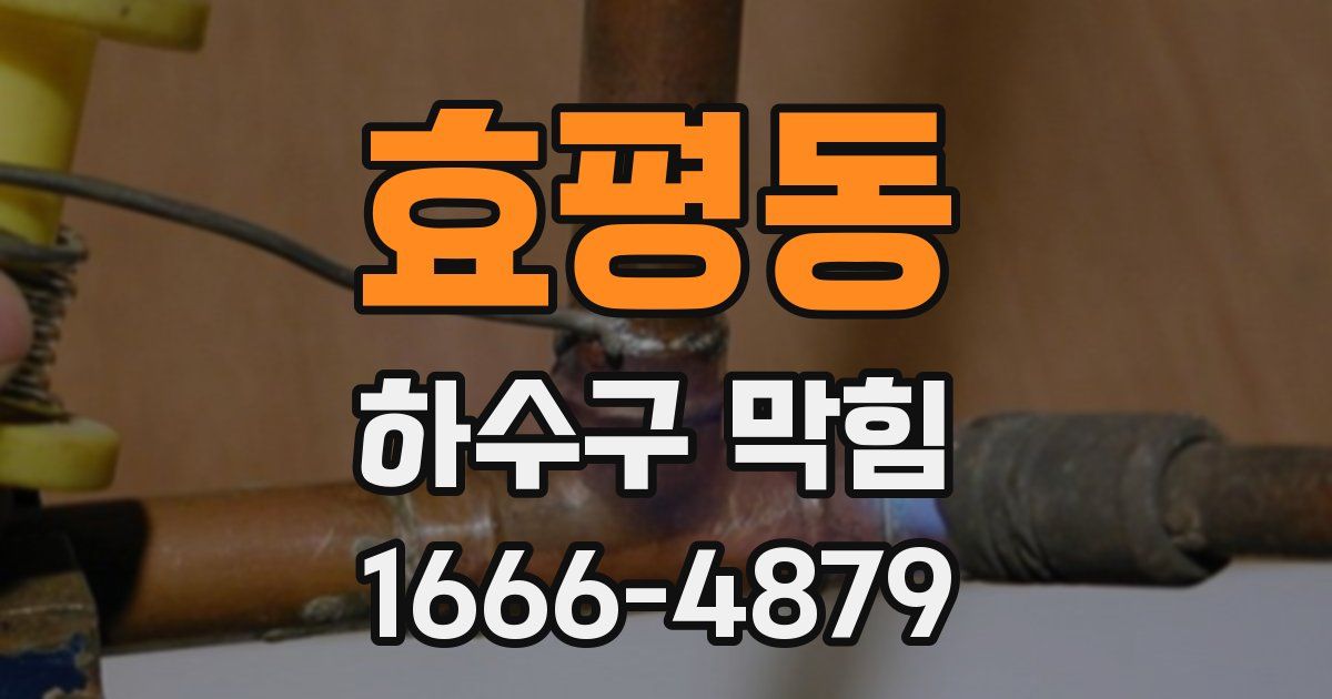 효평동 하수구 막힘