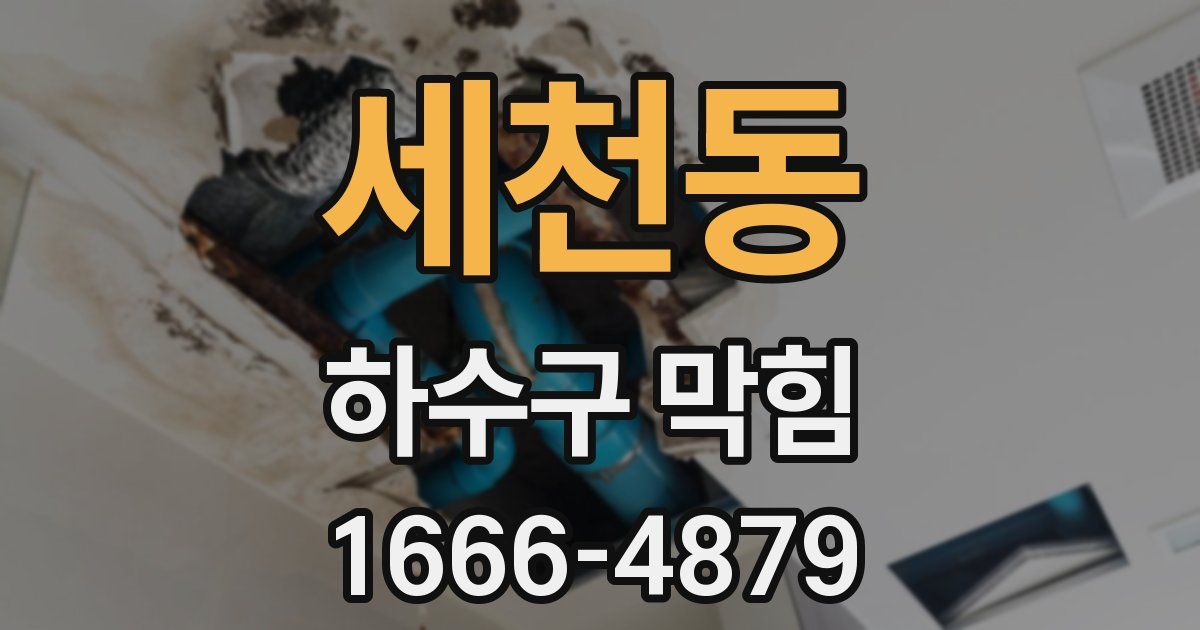 세천동 하수구 막힘