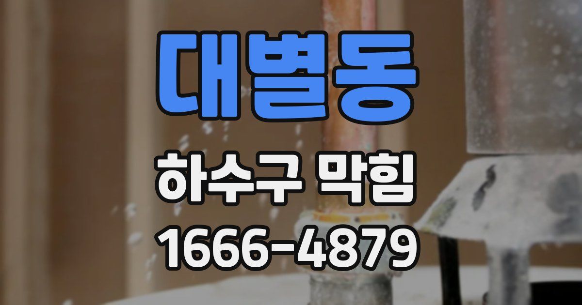 대별동 하수구 막힘