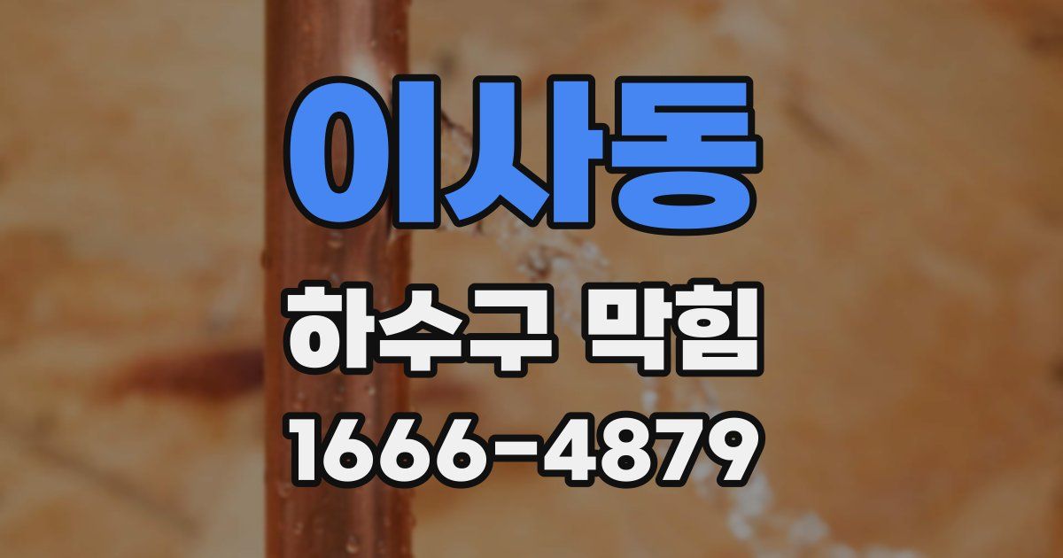 이사동 하수구 막힘