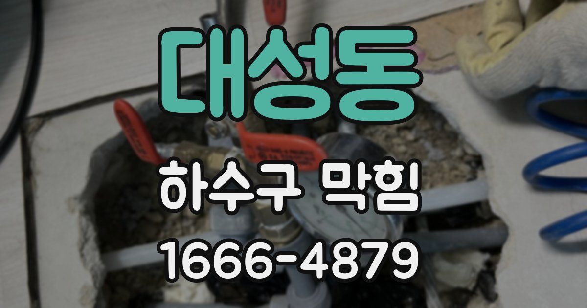 대성동 하수구 막힘