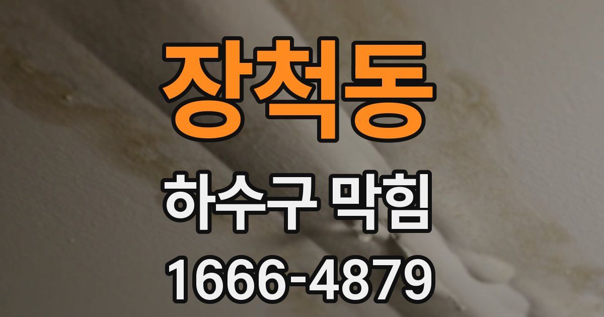 장척동 하수구 막힘