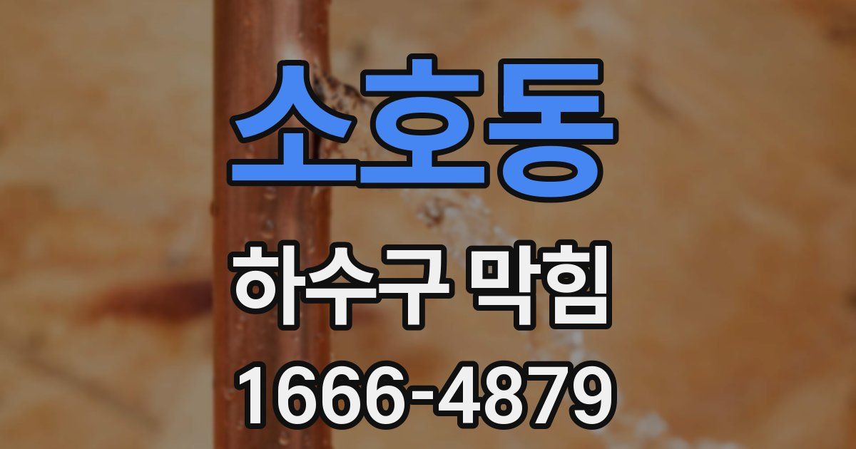 소호동 하수구 막힘