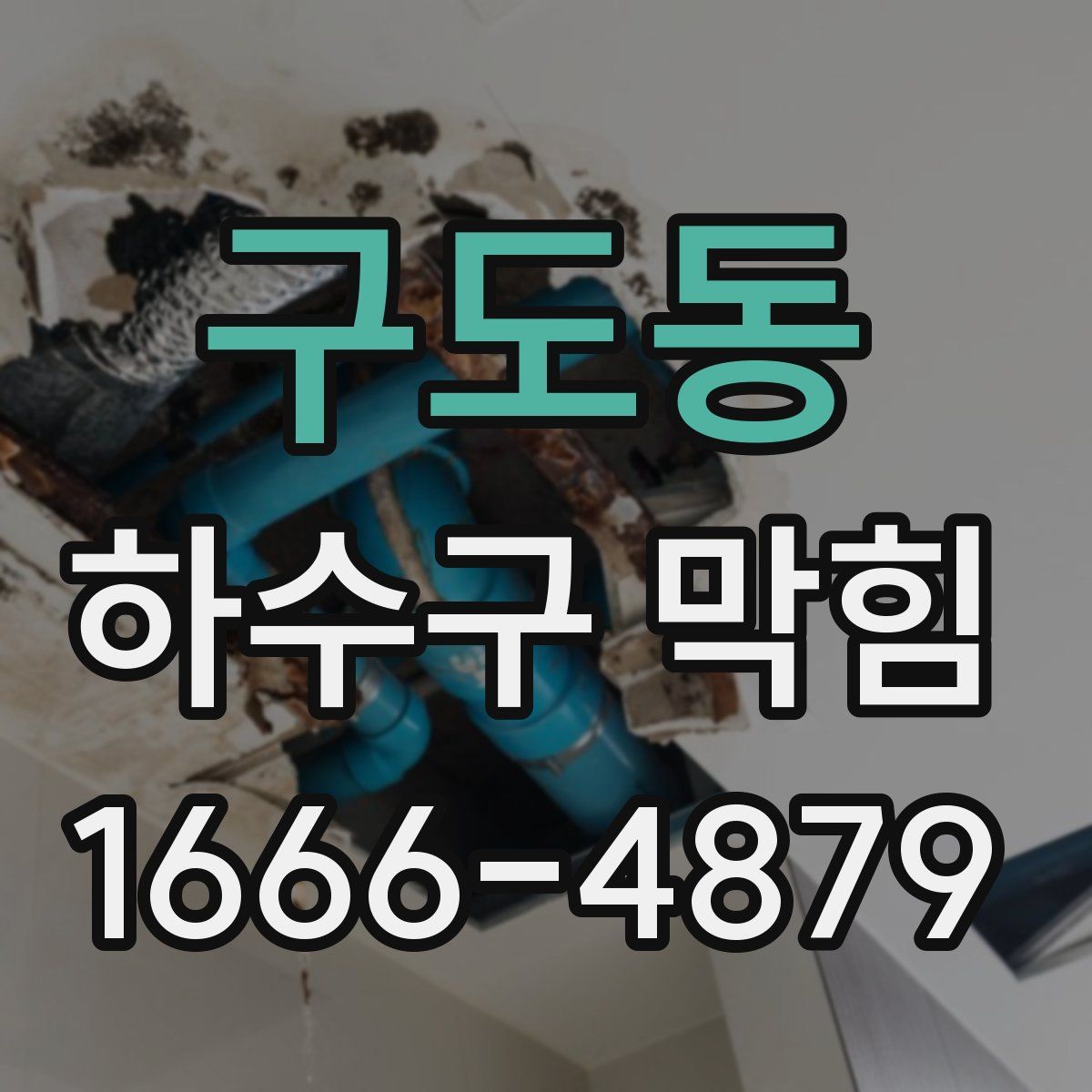 구도동 하수구 막힘