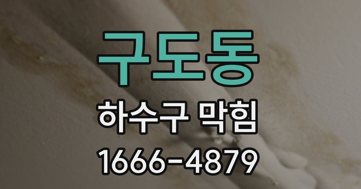 구도동 하수구 막힘
