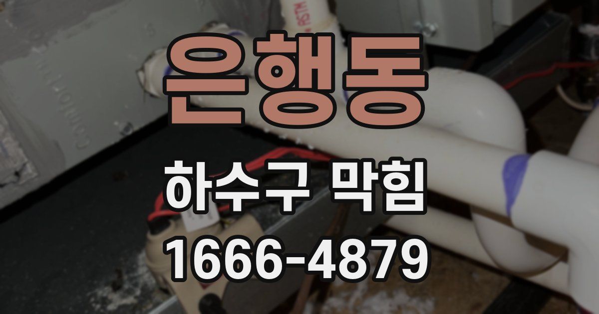 은행동 하수구 막힘